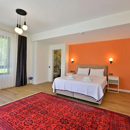 Begonvilla Goecek Goekceovacik Willa