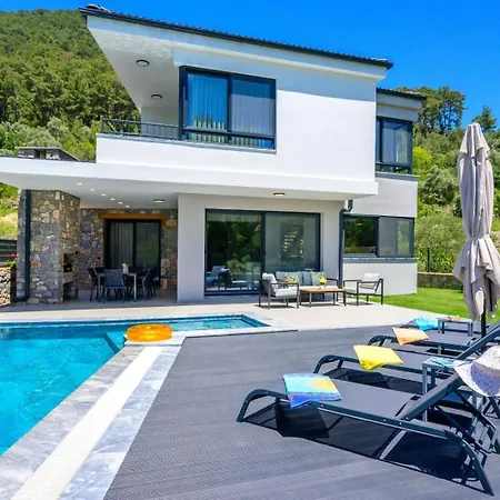 Villa Begonvilla Goecek Goekceovacik Fethiye